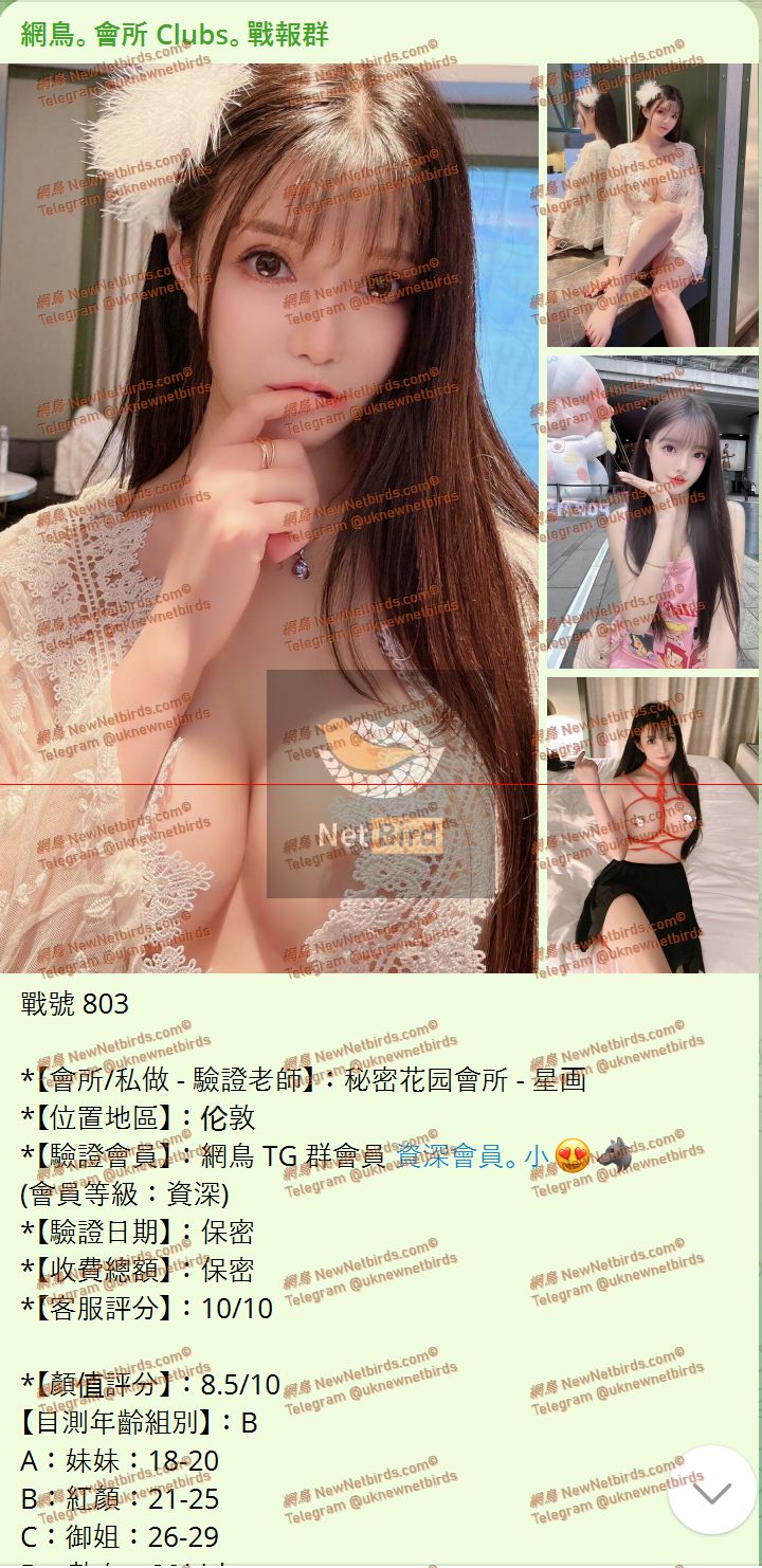 戰號 803 1.jpeg